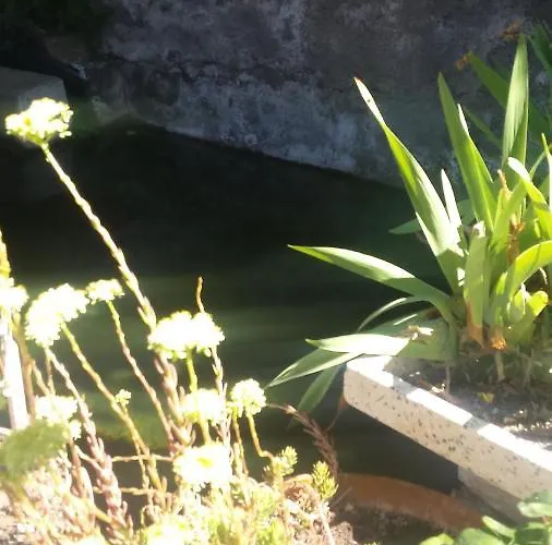 Homestay La Flecha Abrucena