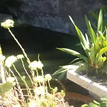 בית אירוח La Flecha Abrucena